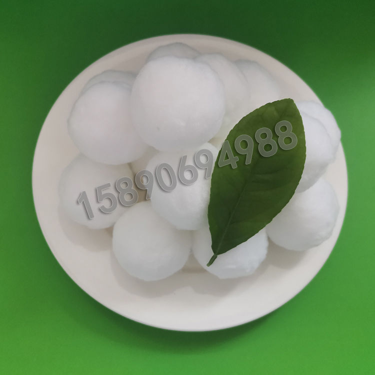 �����w�S��