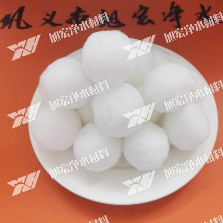 �����w�S��